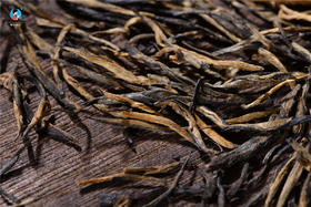  2021年茶山行第6季︱日记18：红茶如何制作？一起来凤庆红茶厂看看！ 