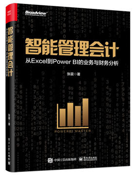 智能管理会计：从Excel到Power BI的业务与财务分析（全彩）