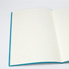 Daycraft旗舰炫丽系列横线笔记本A6N76 商品缩略图3