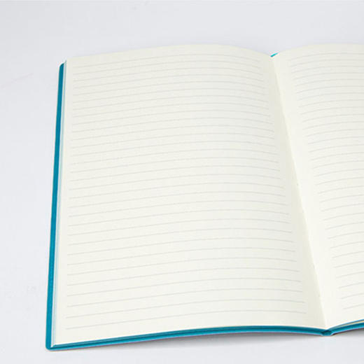 Daycraft旗舰炫丽系列横线笔记本A6N76 商品图3