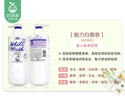 【预售-12月22日配送】台湾耐斯566香水洗发露（白麝香）/1瓶（510g）限用日期：30年1月 商品图3