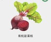 甜菜根 商品缩略图0