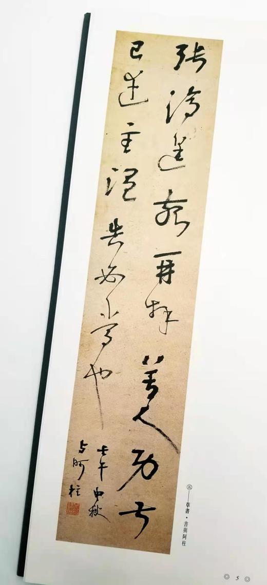 《二十世纪书法经典：胡小石卷》 8开 精装函套 河北教育出版社、广东教育出版社1996年版 商品图6