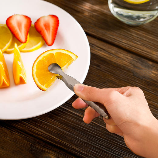 FaSoLa 不锈钢冰夹 加厚多用取冰夹冰块冰格水果方糖夹子小烧烤夹 商品图6