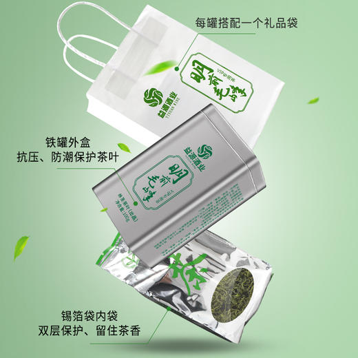 遵义绿茶明前毛峰100g罐装 商品图2