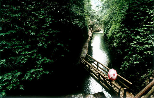 【拼包车出行 | 自由安排 】都江堰+青城山景区直通车 | 访古探幽，还有传说中的白素贞？ 商品图3