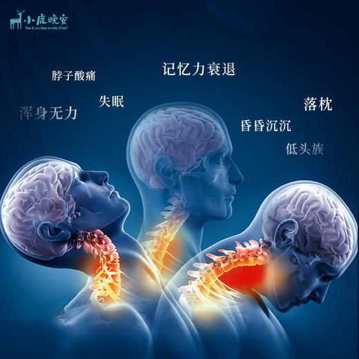 【大象健康优选】小鹿晚安.艾珠养生枕休整.颈椎健康了！睡得更香了！ 商品图1
