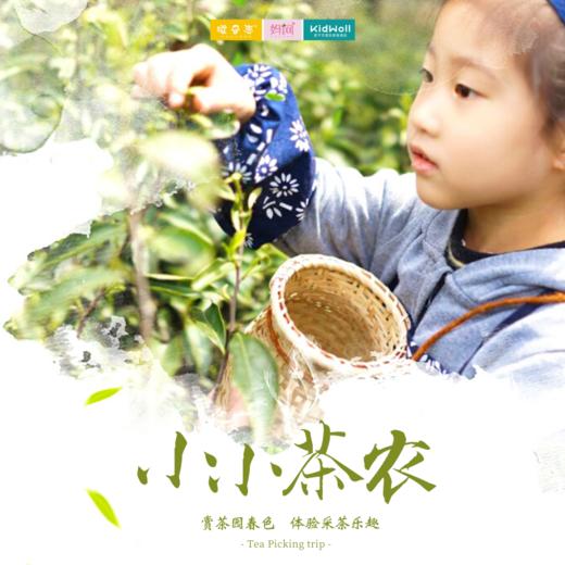 孩子志 | 小小茶农 独立/亲子  5/1 /// 采春茶、赏茶园春色、学习传统制茶精粹，探索苏州园林榜眼府，学习民间非遗项目，感受进士之乡的文化底蕴...可团体定制 商品图0
