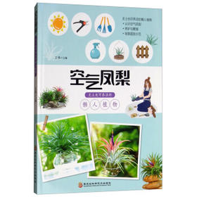 空气凤梨:无土也可养活的懒人植物
