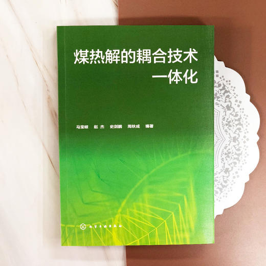 煤热解的耦合技术一体化 商品图1