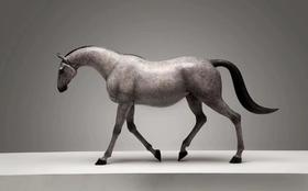 格物灵语/行/马/299版/小号