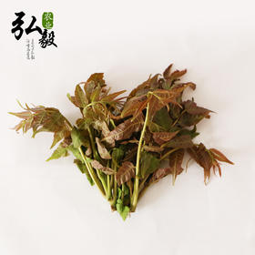 【弘毅六不用生态农场】六不用 顺季节 露地种植 香椿芽 250克/份