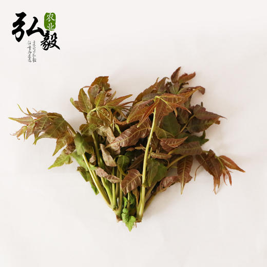 【弘毅六不用生态农场】六不用 顺季节 露地种植 香椿芽 250克/份 商品图0