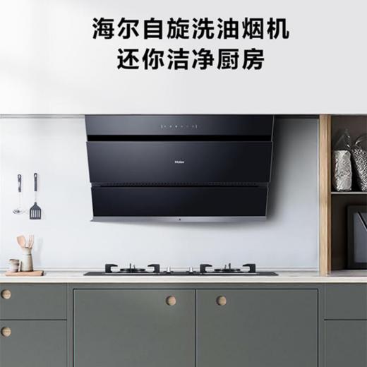 海尔（Haier）烟机CXW-219-E900C12L 商品图2