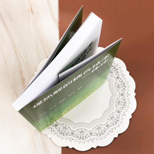 煤热解的耦合技术一体化 商品图5