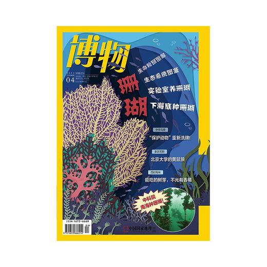 《博物》202104  珊瑚 正版期刊 旗舰店直营 商品图0