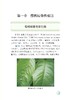 樱桃病虫害绿色防控彩色图谱 商品缩略图2