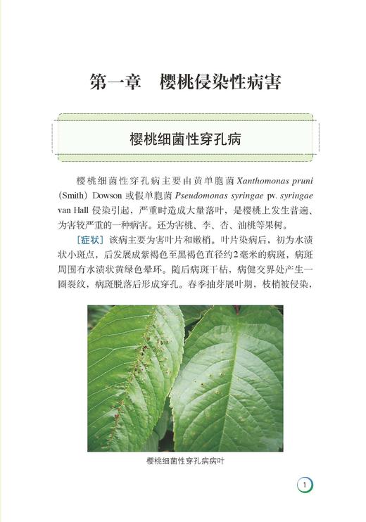 樱桃病虫害绿色防控彩色图谱 商品图2