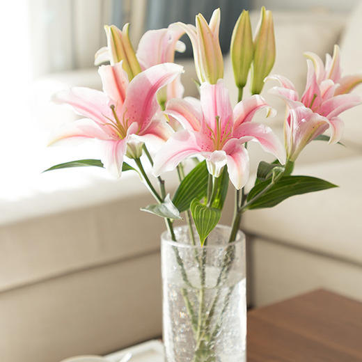 粉色香水百合来袭清新茉莉上新 氧花er