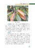 樱桃病虫害绿色防控彩色图谱 商品缩略图6