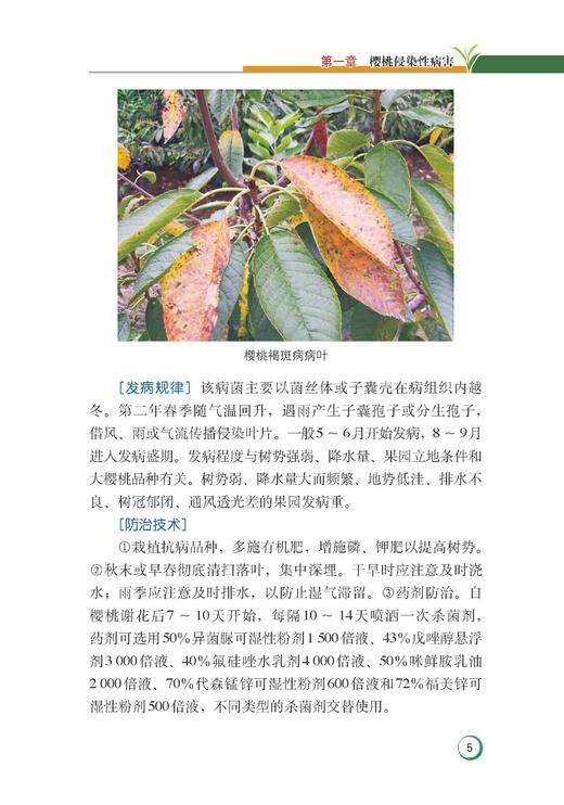 樱桃病虫害绿色防控彩色图谱 商品图6