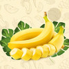 蜜思香蕉 商品缩略图2