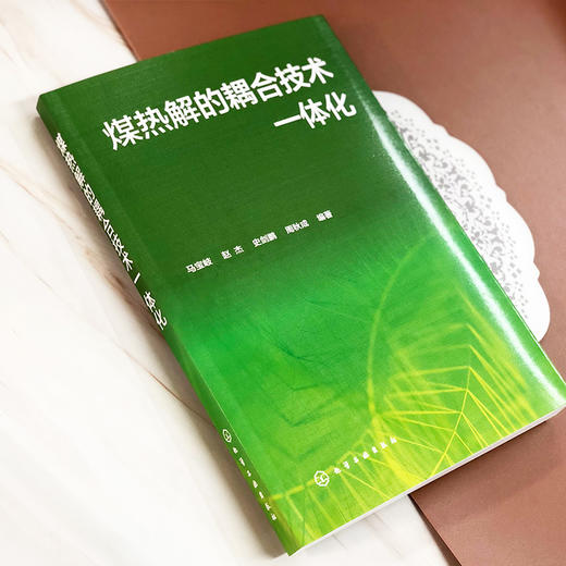 煤热解的耦合技术一体化 商品图2