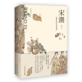 宋潮 变革中的大宋文明 