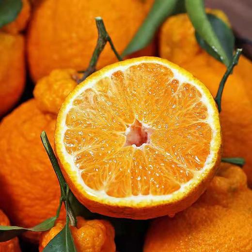 四川丹棱丑橘不知火 商品图0