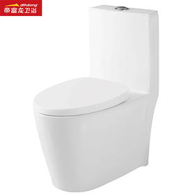 帝富龙 坐便器 8040-300