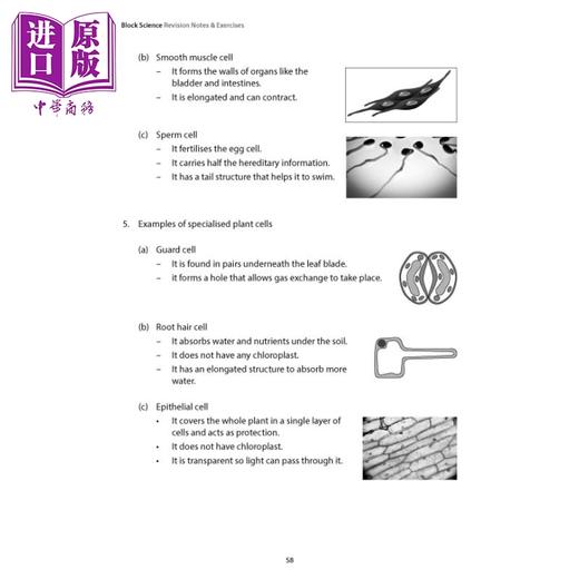 【中商原版】新加坡教辅 Upper Block Science科学复习备考笔记和练习 小学5&6年级 商品图2