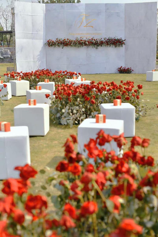 吐司凳【运费自理】 商品图4