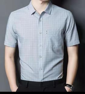 杜宾半袖衬衣 货号:2515(4楼）