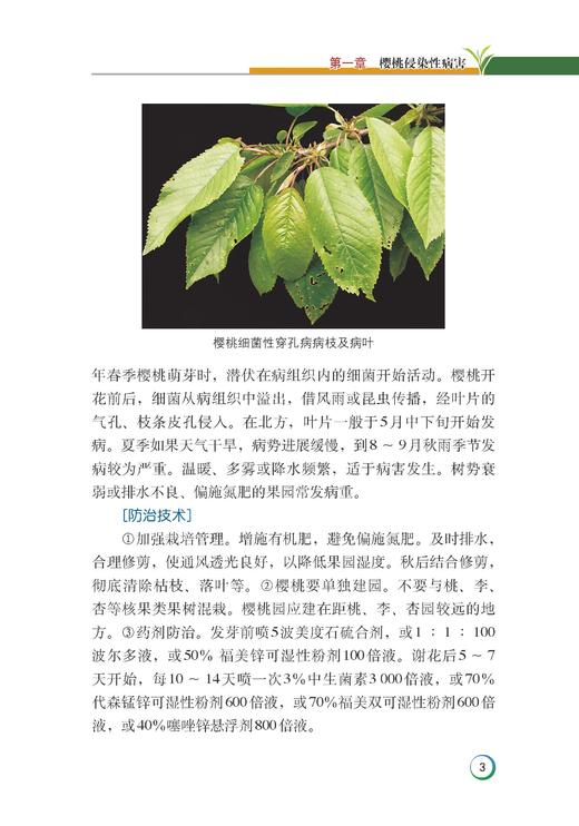 樱桃病虫害绿色防控彩色图谱 商品图4