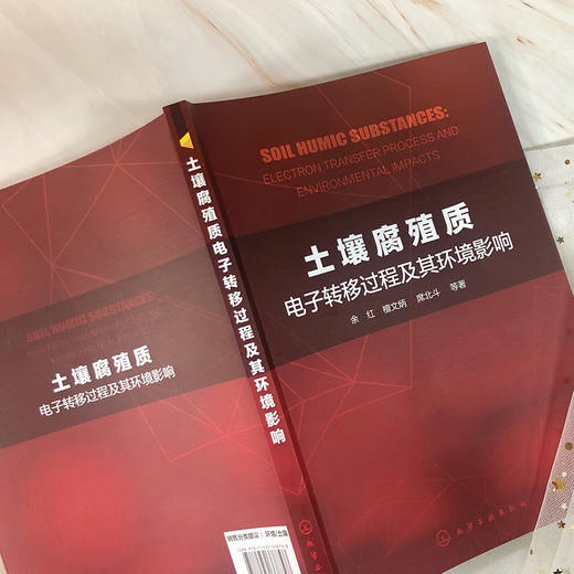 土壤腐殖质电子转移过程及其环境影响 商品图3