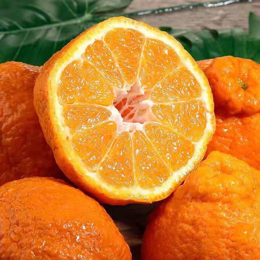 四川丹棱丑橘不知火 商品图1