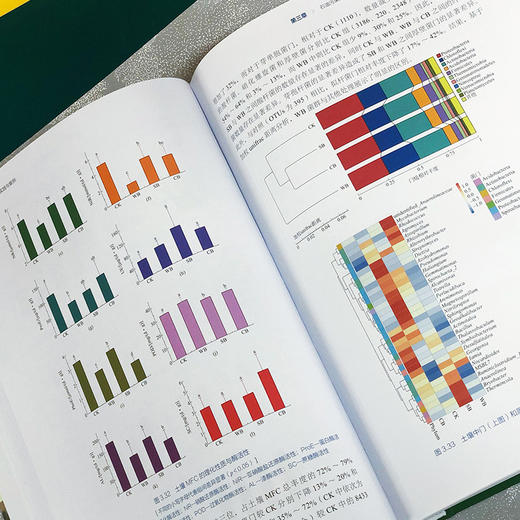 污染环境修复实践与案例 商品图2