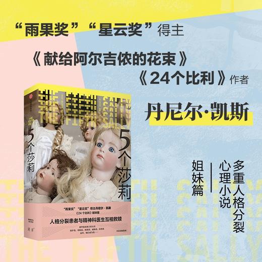 5个莎莉 丹尼尔·凯斯 著 美国小说 多重人格 心理小说 人格分裂 中信出版社图书 正版 商品图0