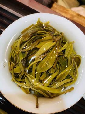 【2024天门山】天门山高杆古树，比肩薄荷塘！易武新贵！