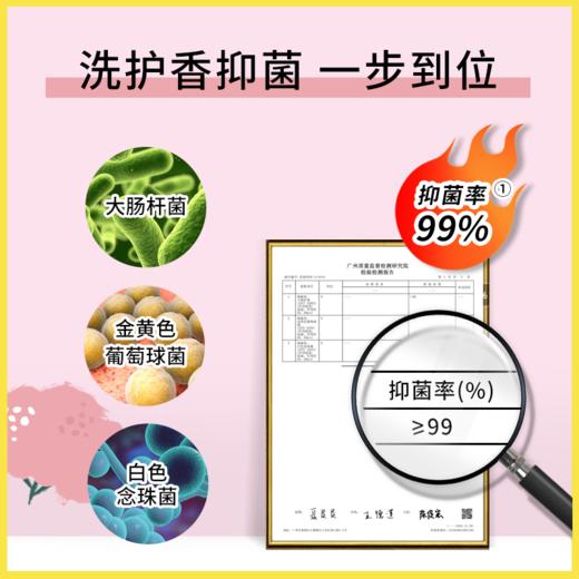 【买二送一】PWU内裤内衣清洗液99%抑菌 除菌洗衣液女士专用手洗  FX 商品图6