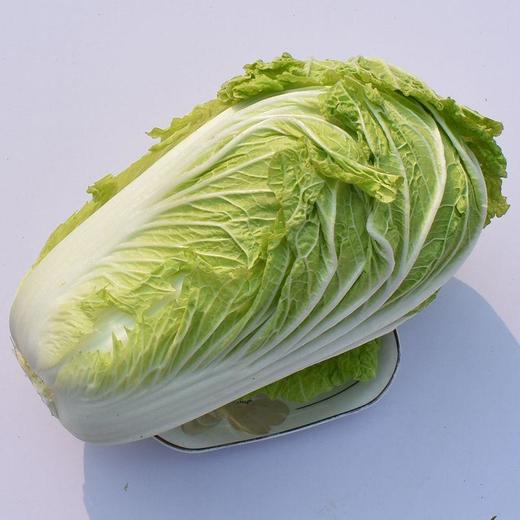 【BSS】黄白 约500克 商品图1