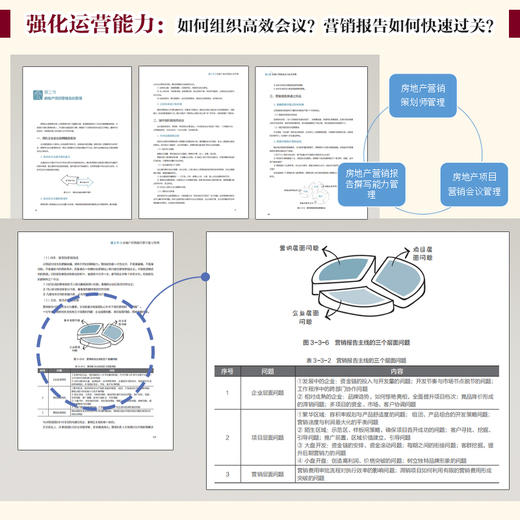 售罄之道：房地产全程营销能力突破手册（让你的地产项目 快速售罄） 商品图3
