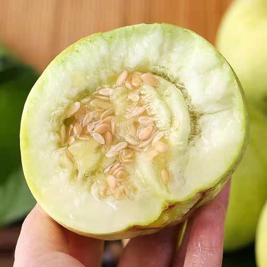 马连庄蜜宝甜瓜 商品图1