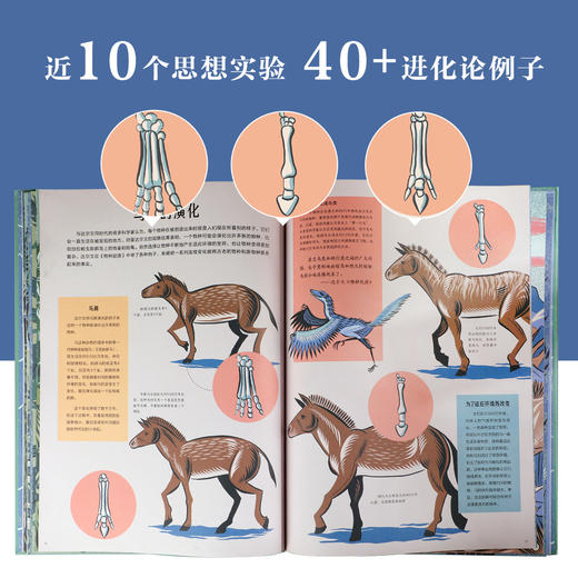 向伟人一样思考 爱因斯坦与相对论+达尔文与物种起源 共两册 商品图6