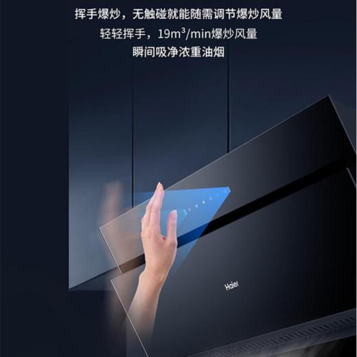 海尔（Haier）烟机CXW-219-E900C12L 商品图1