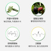 【氧丽可丝】韩国正品氧丽可丝院线补水保湿镇定晒后修护天然芦荟凝胶150ml 商品缩略图2