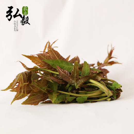 【弘毅六不用生态农场】六不用 顺季节 露地种植 香椿芽 250克/份 商品图1