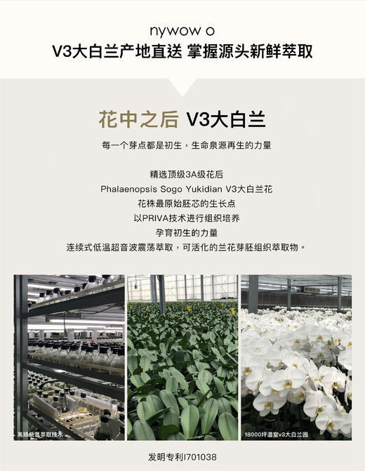 【已下架】nywow o 兰花精萃焕肤亮弹水兰霜15ml [D类] 商品图6