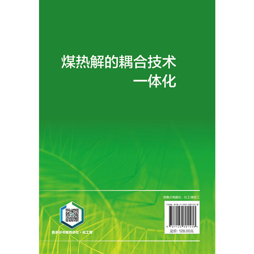 煤热解的耦合技术一体化 商品图6