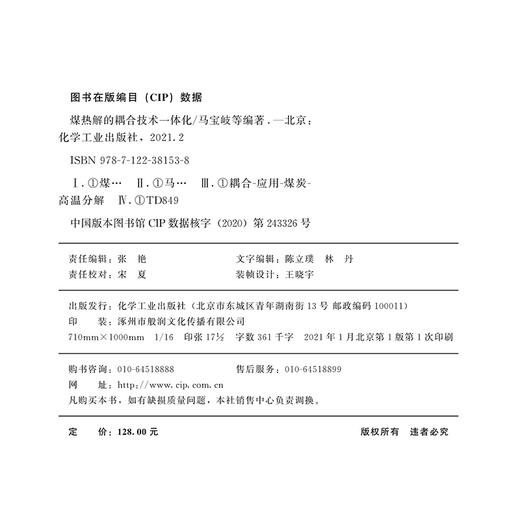 煤热解的耦合技术一体化 商品图7